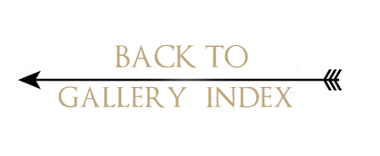back to gallery index